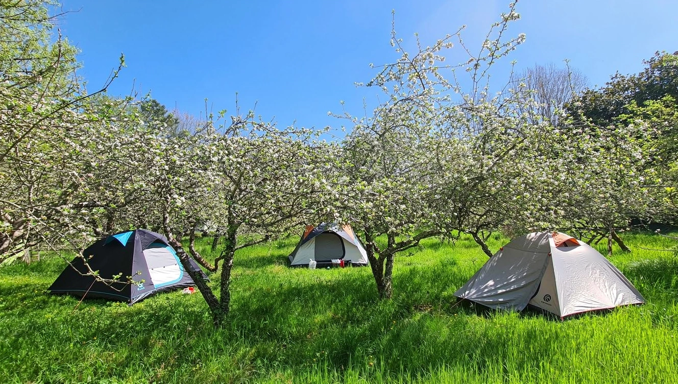 image_uxLOpnDx_1328x752_1768225114144